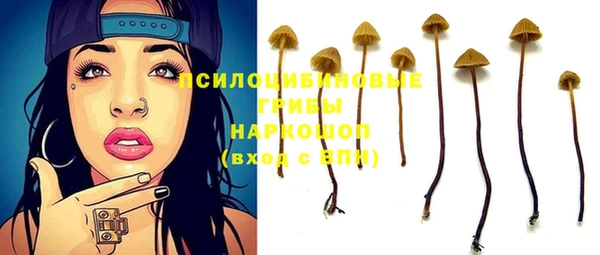 ешки Дмитриев