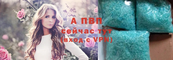 ешки Дмитриев